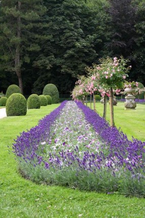 Jardins de Chenonceaux