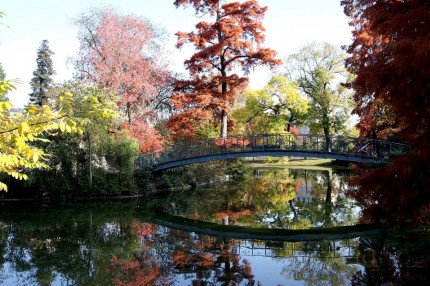 L’automne au jardin public 9