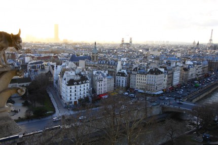 Paris depuis les tours de Notre Dame