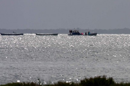 Plate d’ostréiculteur (Bassin d’Arcachon)