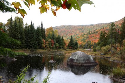 Séjour Québec 2009