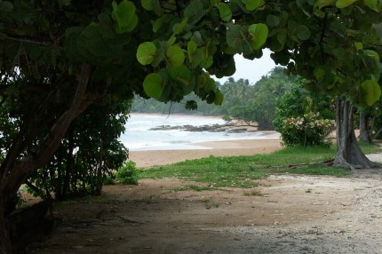 Plage de martinique