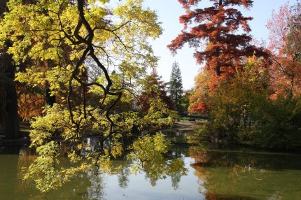 L’automne au jardin public