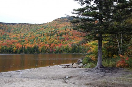 Séjour Québec 2009