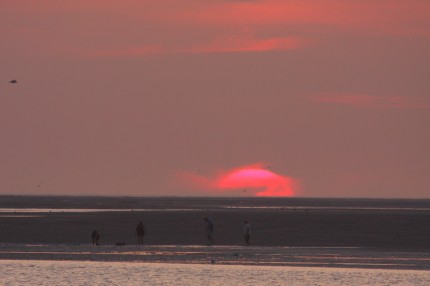 Pêcheurs à pieds en Baie de Somme