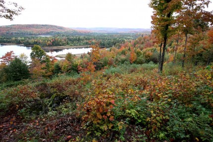 Séjour Québec 2009