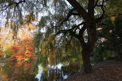 Jardin public