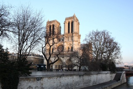 Notre Dame entre chien et loup