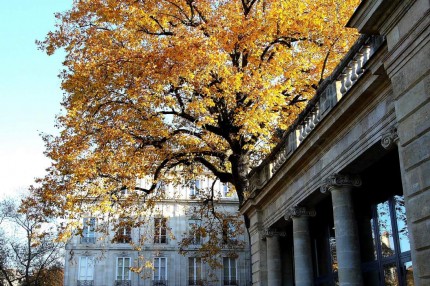 L’automne au jardin public 12