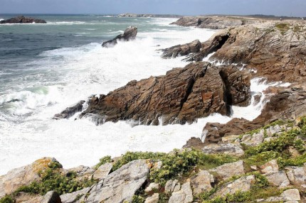 Côte sauvage  (Morbihan)