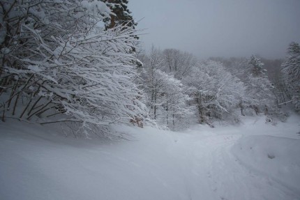 Neige des Pyrénées