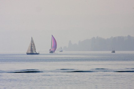 Voiles sur le Léman