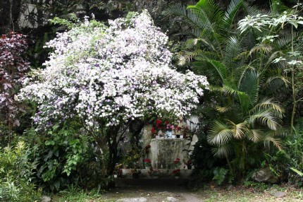 Ile de la Réunion