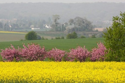 La plaine de France (Baillet en France)