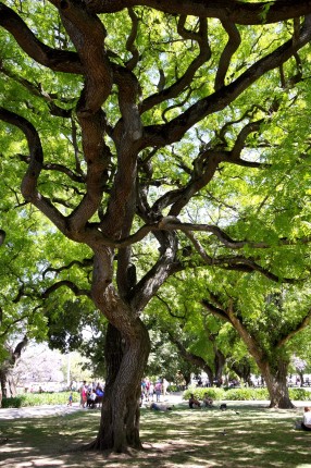 Dans le jardin d’Altramar