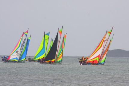 Course de yoles à deux voiles au Robert