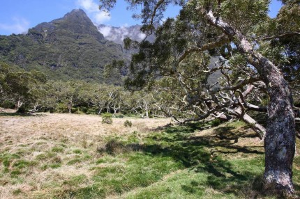 Ile de la Réunion