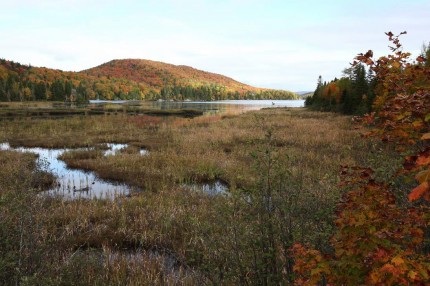 Séjour Québec 2009