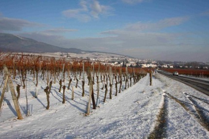 Noël en Alsace