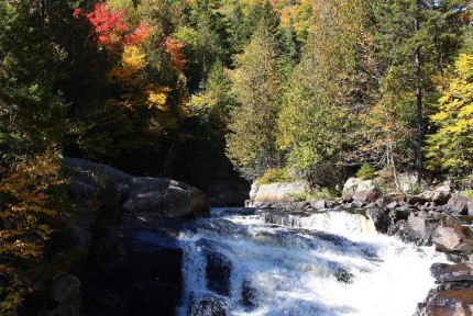 Séjour Québec 2009