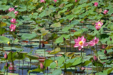 Voyage Vietnam