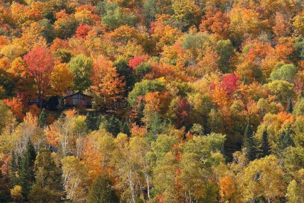 Séjour Québec 2009