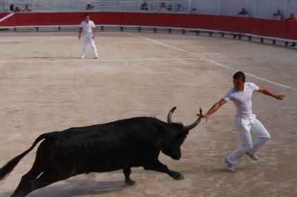 Dans les arènes d’Arles