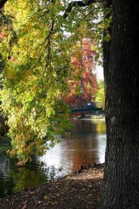 L’automne au jardin public 10